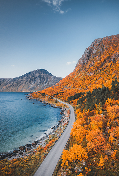 Trondheimsfjorden rundt – egen tur med Turbuss1